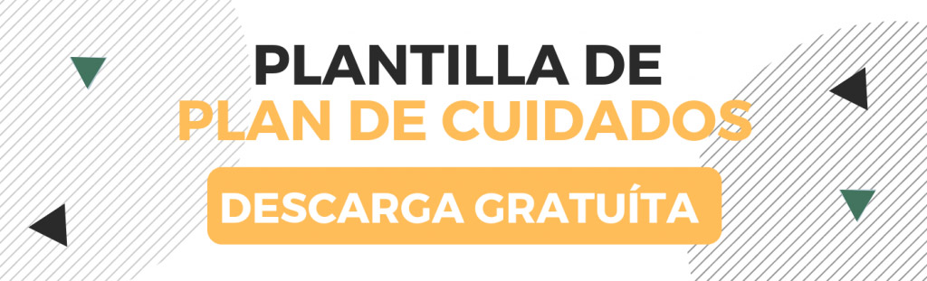 plantilla-de-plan-de-cuidados