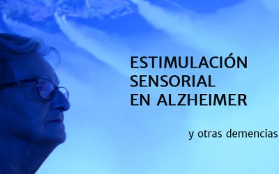 Sensory Memory Workshop un taller de memoria sensorial