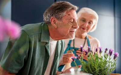 Demencia y “Diabetes Tipo 3”: la conexión entre el cerebro y el azúcar en la sangre