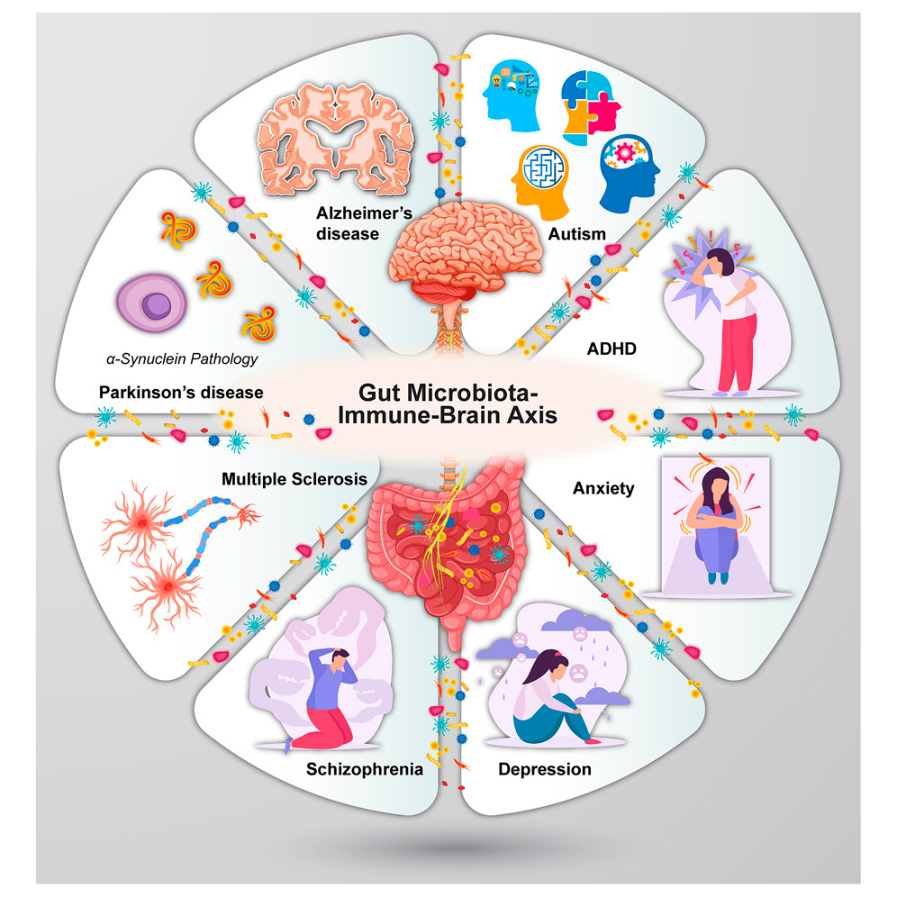 nuevas-investigaciones